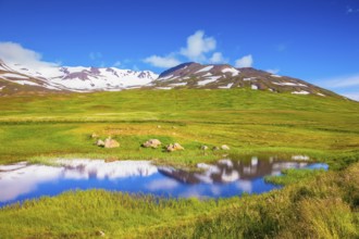The fields overgrown with fresh green grass. The hills are covered with snow and are reflected in a