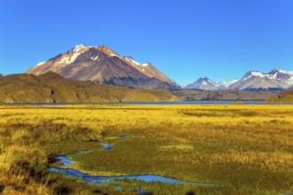The yellow grass field with streams from underground sources. Trip to the Argentine Patagonia. The