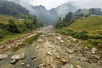 Misty mountain landscape with river and green rice terraces, surrounded by forests, river landscape