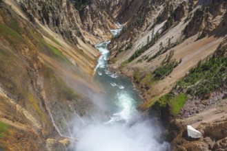 The Lower Falls on the Yellowstone River (Yellowstone National Park, Wyoming)