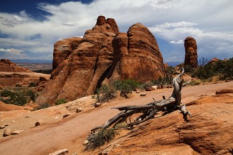 Beautiful rock formations in Arches National Park, Utah, USA, North America