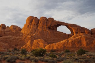 Beautiful rock formations in Arches National Park, Utah, USA, North America