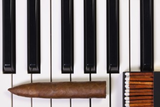Detail of piano keyboard and luxury cigar