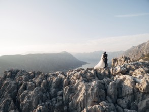Bride and groom are embracing on a rocky mountain and look at the bay. Back view.