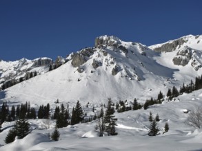 Idyllic winter landscape, mountains and trees
