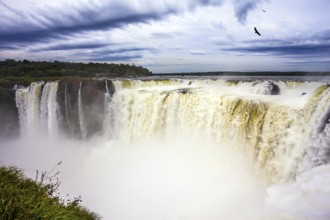 Grandiose waterfalls Iguazu in the rainy season - the Devil's Throat. Over the rumbling waterfall
