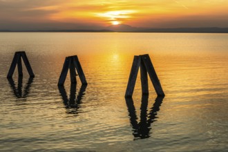 Evening atmosphere at the lake at sunset, bollard in Lake Neusiedl, Podersdorf, Burgenland,