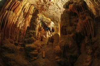 Colossal system of underground caves in Slovenia. Postojna Cave. Fantastically lit underground