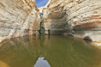 Clean cold water in the creek canyon. Sandstone walls apart, like butterfly wings. Picturesque