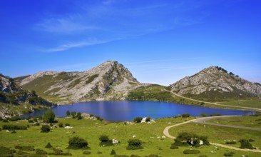 Enol lake at Picos de Europa in Asturias of Spain