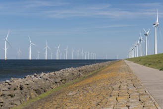 Wind park partly in the water and partly on the land in the Noordoostpolder in the Netherlands