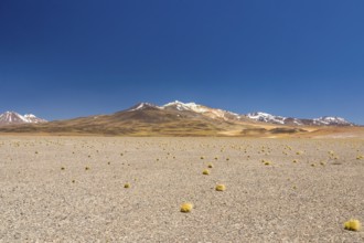 Atacama Desert, Chile. Salar Aguas Calientes. Lake Tuyacto. South America