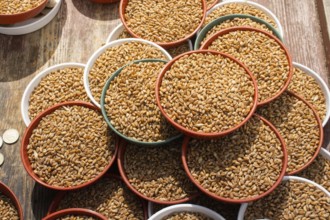 Whole wheat grains in bowl for sale for spilling out to feed bird