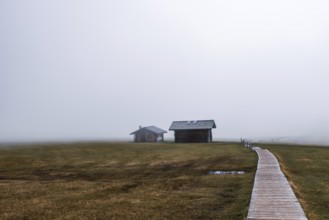 Fog on the Seiser Alm in the Dolomites in South Tyrol, Italy, Europe