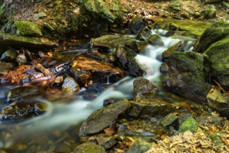 A small stream babbles over rocks in a forest landscape lined with moss, Frauenau drinking water
