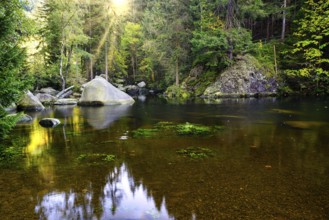 The river bed with large stones on Engagement island in the Oker in the Harz Mountains