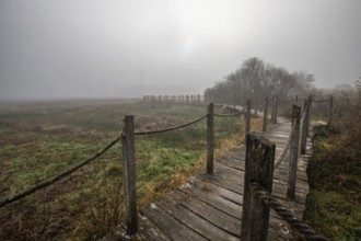 A wooden walkway or footbridge leads through a nature reserve in dense fog. Landscape shot in the