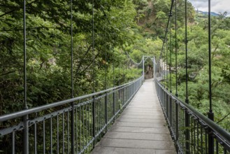 Bridge on the Algunder Waalweg
