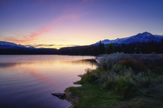 Beautiful autumn landscape scene in mountain in background in Jasper National Park west Canada