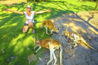 Happy caucasian woman with open arms near three Kangaroos at a park in Whiteman, near Perth,
