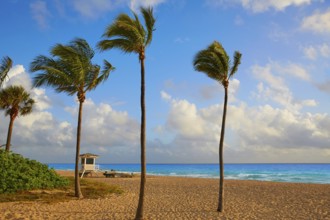 Fort Lauderdale beach morning sunrise in Florida USA palm trees