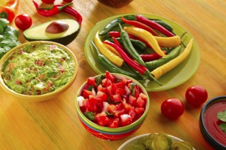 Mexican food mixed guacamole nachos chili sauce dipping cheddar cheese lemon pico de gallo