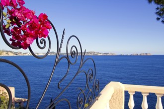 Calvia Cala Fornells bougainvilleas balearic fence in Mallorca Balearic Island