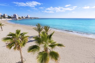 Alicante San Juan beach of La Albufereta with palms trees in Mediterranean Spain