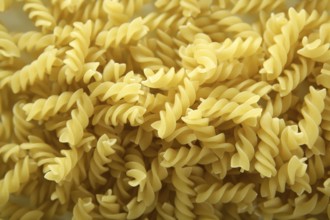 Close-up of italian spiral yellow pasta texture as background