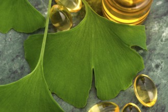 Ginkgo with essential oil