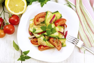 Salad of young zucchini, radish, tomato and mint, seasoned with lemon juice and soy sauce in a