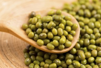 Mung beans over wooden spoon, lodz, poland