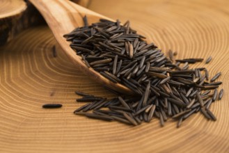 Wild rice on wooden spooon