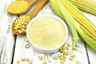 Flour corn in a bowl, groats and grain maize in the spoons, cobs on the background white wooden