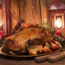 Christmas duck
