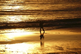 A golden-coloured sunset on a beach with the silhouette of a boy playing