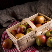 Autumn Apple