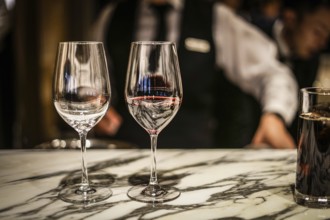 Stylish wine glass image of. Shooting Location: Tokyo metropolitan area