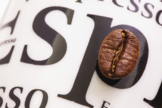Detail of coffee bean on porcelain coffee cup. Coffee design