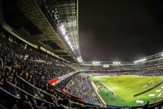 People to cheer the football game. Shooting Location: Yokohama-city kanagawa prefecture