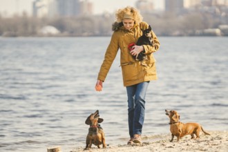 Woman plays with dogs. Pets and dogs training and educating dogs. Companion pets concept. dog lover