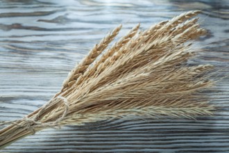 Bunch of wheat ears on vintage wooden board