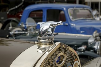 Lisbon, Portugal - Oct 15, 2023: Close-up and selective focus of flying quail bird bonnet mascot on