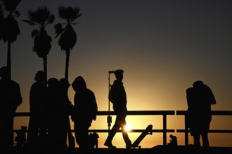 Sunset at Venice Beach Skate Park, Los Angeles, California, USA, North America