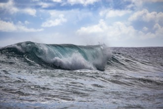 Wave breaks with water turquoise colours as closeup on Hawaii