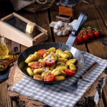 Gnocchi baked with green pesto, cherry tomatoes and parmesan