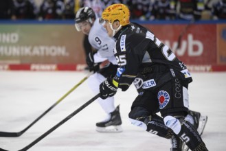 Eisarena Bremerhaven, Bremerhaven, Bremen, Fabian Herrmann (Fischtown Pinguins, #25), PENNY DEL,
