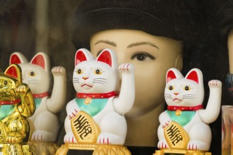 Maneki-nekos, display window, Germany, Europe