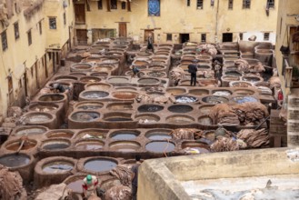 Famous tannery in the medina of Fes, where leather is being processed for generations, Morocco,