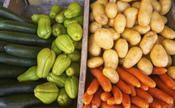 Mexican market vegetables carrot potatoes cucumbers and Chayote squash